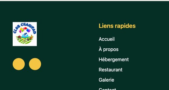 Pied de page actuel : icônes sociales vides